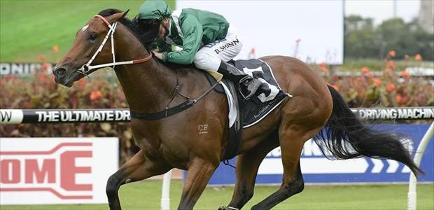 Headwater - Rosehill - 21/02/2015